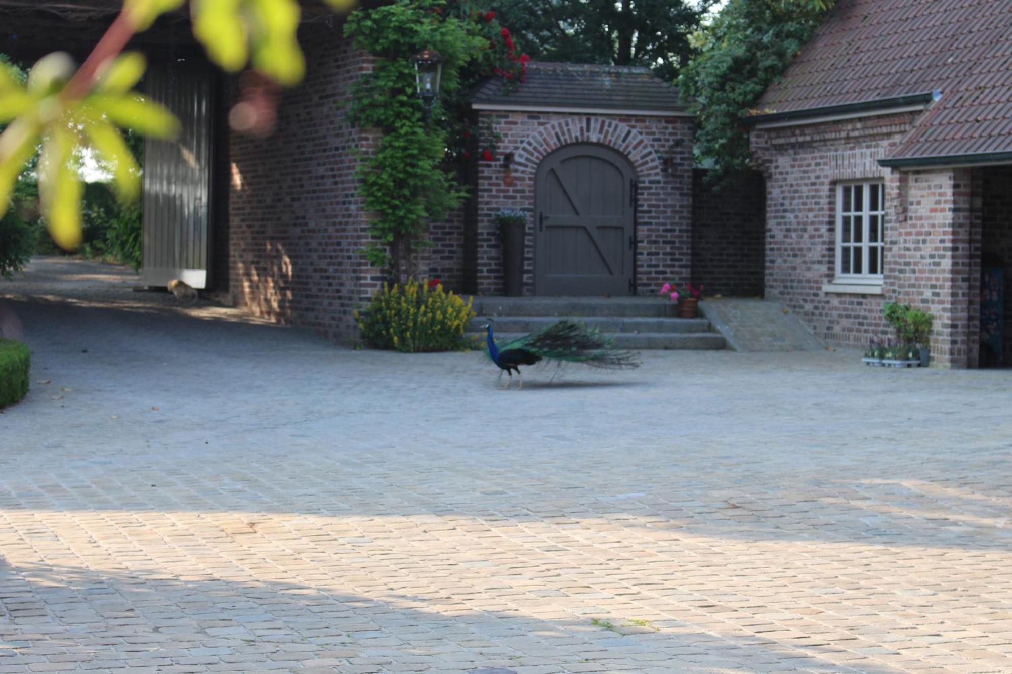 Imagine B&B Wortegem Exterior foto